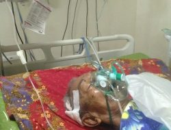 Diduga Oknum Brimob Penjaga PT.Huady Nickel Alloy Aniaya Dua Pemulung, Satu Tewas Seorang Kakek