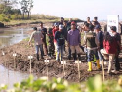 Bupati Bantaeng Hadiri Gerakan Reboisasi Sungai Nipa-nipa